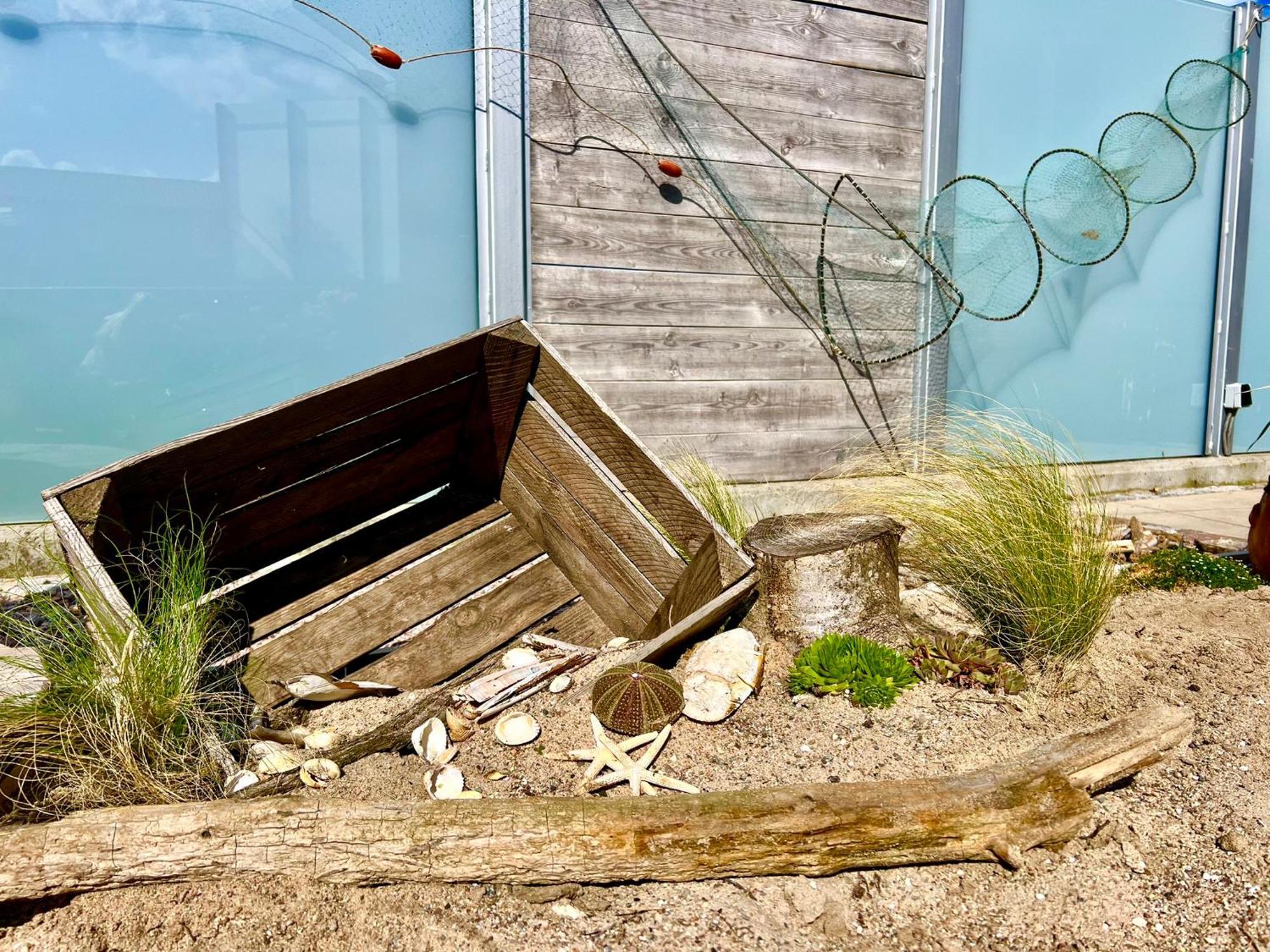 Freie Sicht - Nordsee-gesundheitshaus 2